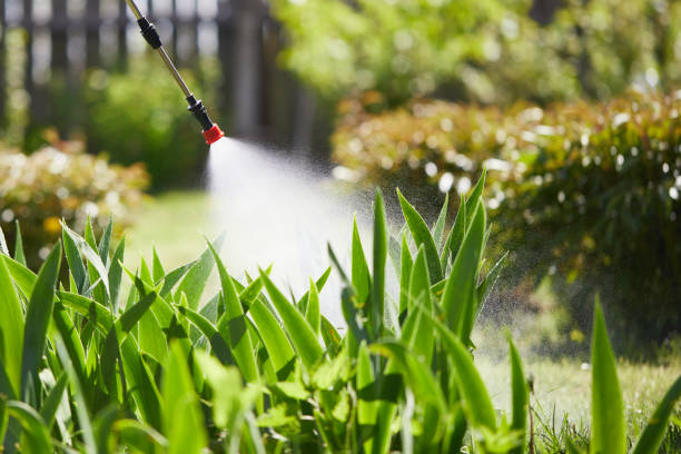24/7 Emergency Fumigation Services experts in Nevada, IA